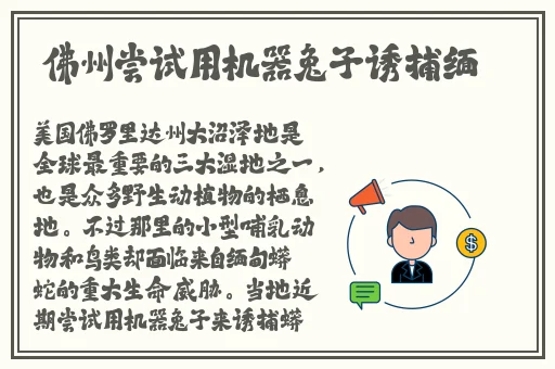 甘雨挤羊奶后衣服